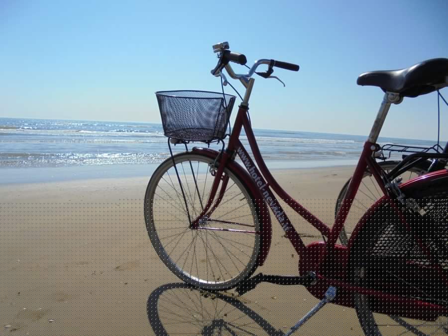 Biking trails in Bibione: riding along the sea and in the inland