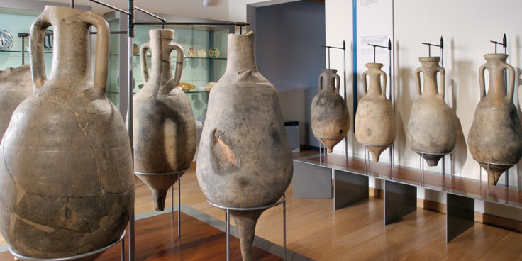 Museo Civico Archeologico thumbnail