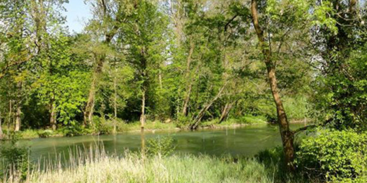 Acquario di Ariis thumbnail