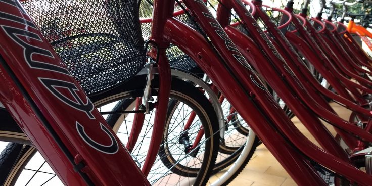 Casa del Ciclo – bike rental and assistance thumbnail