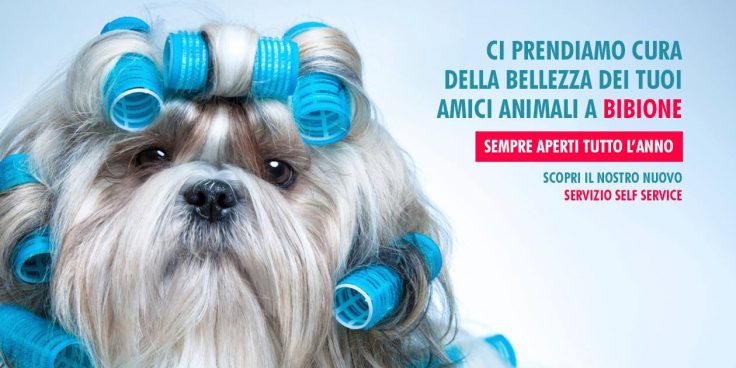 Come Cane e Gatto – Pet Spa & Shop thumbnail