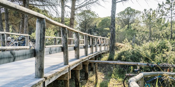 Radwege in Bibione: im Sattel auf dem Meer und im Landesinneren thumbnail