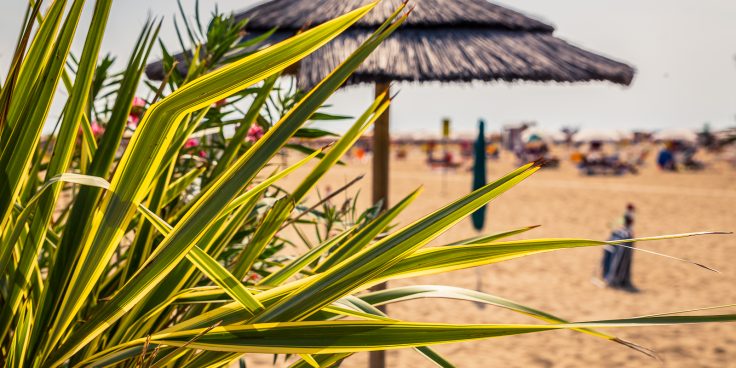 Weather in Bibione, a pleasant climate all year round thumbnail