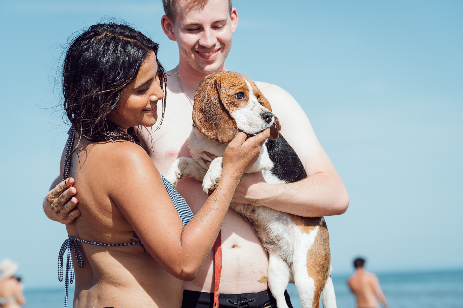 Die hundefreundliche Seele von Bibione: Alle Leistungen für diejenigen, die mit dem Hund auf Urlaub fahren