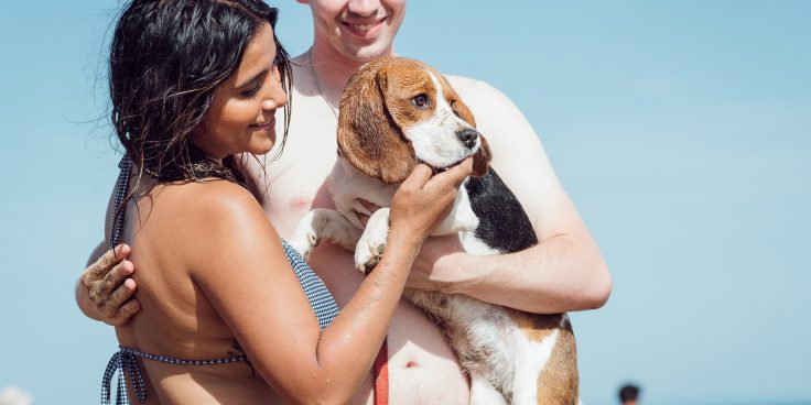 The dog-friendly soul of Bibione: all the services for those who go on holiday with the dog thumbnail