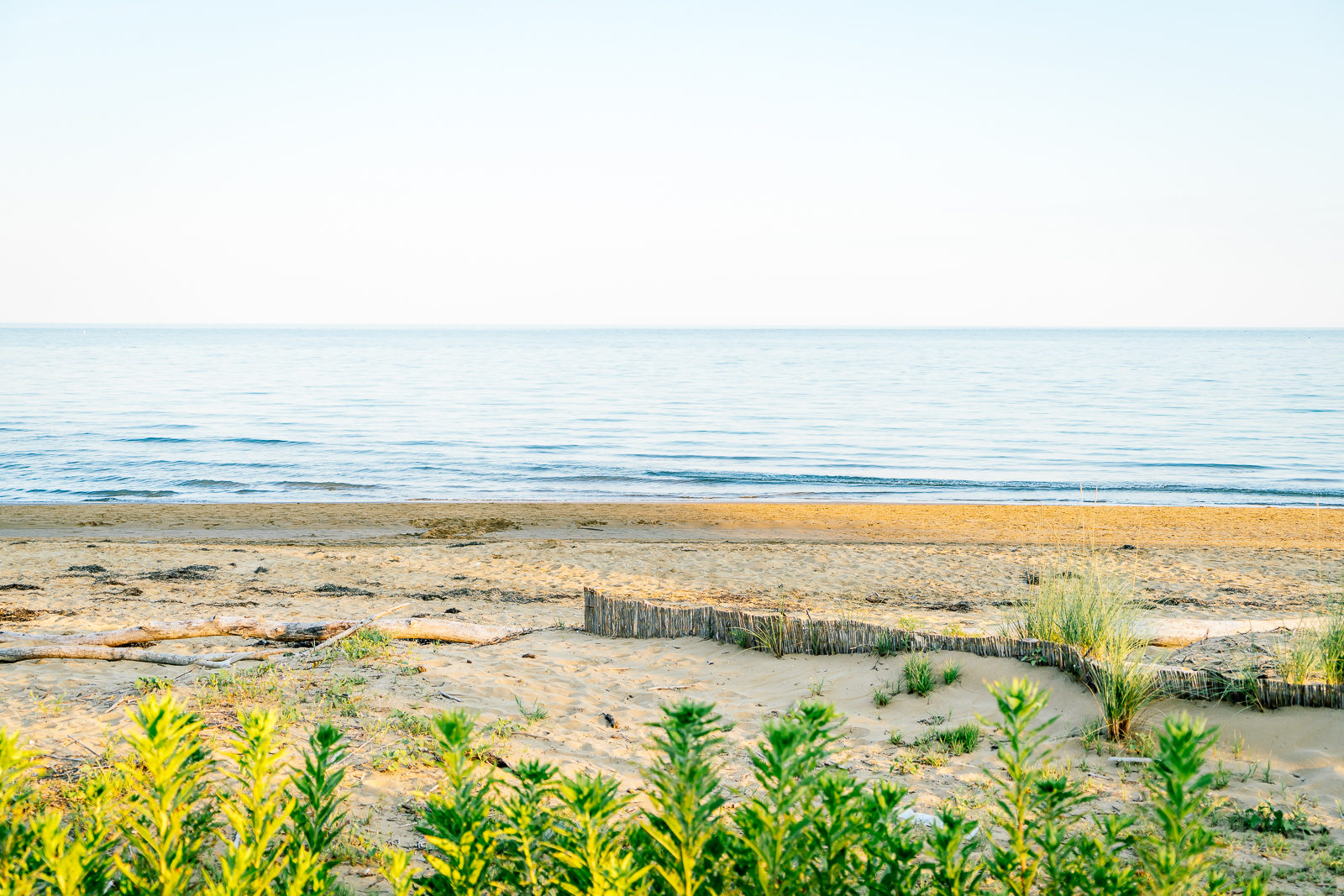Bibione Strand für den Sommer 2020: groß und von viel Grün umgeben, für einen sicheren und ausgeglichenen Urlaub