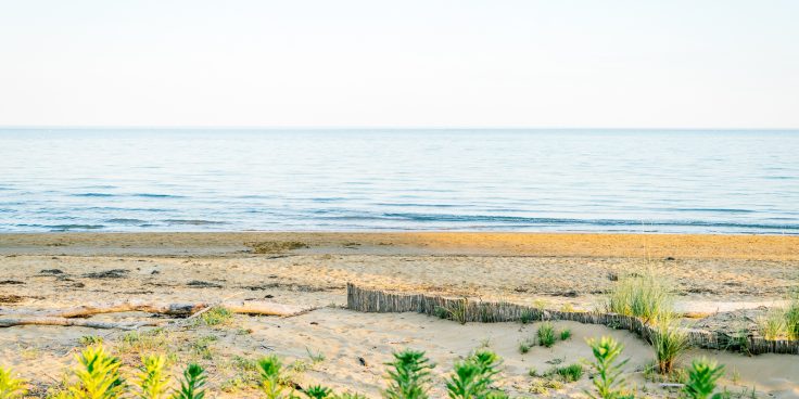 Bibione beach for summer 2020: large and surrounded by greenery, for a safe and rebalancing holiday thumbnail