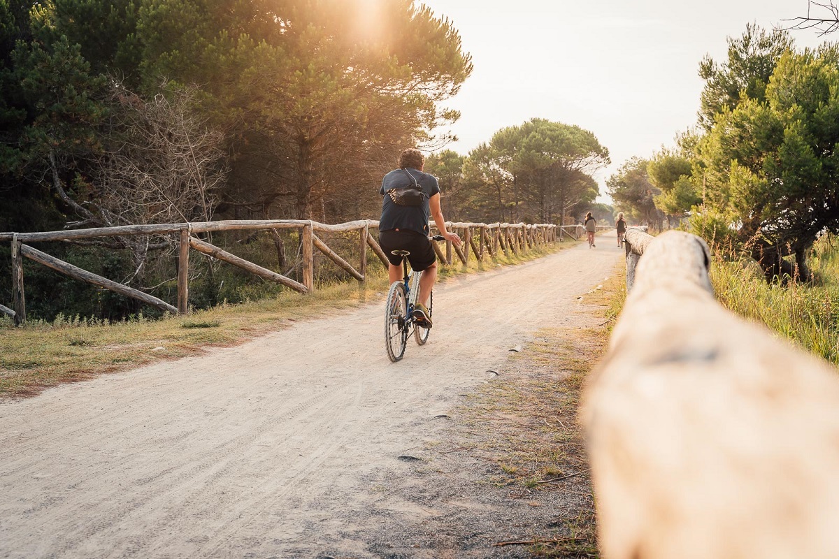 Biking trails in Bibione: all the itineraries for a bike ride in the middle of nature and in safety
