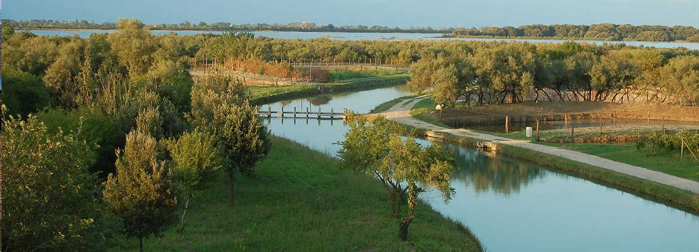 paesaggio naturale con fiume e alberi