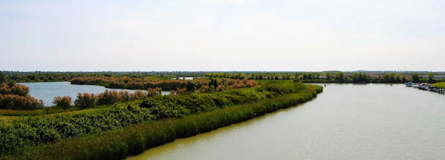 paesaggio naturale con fiume