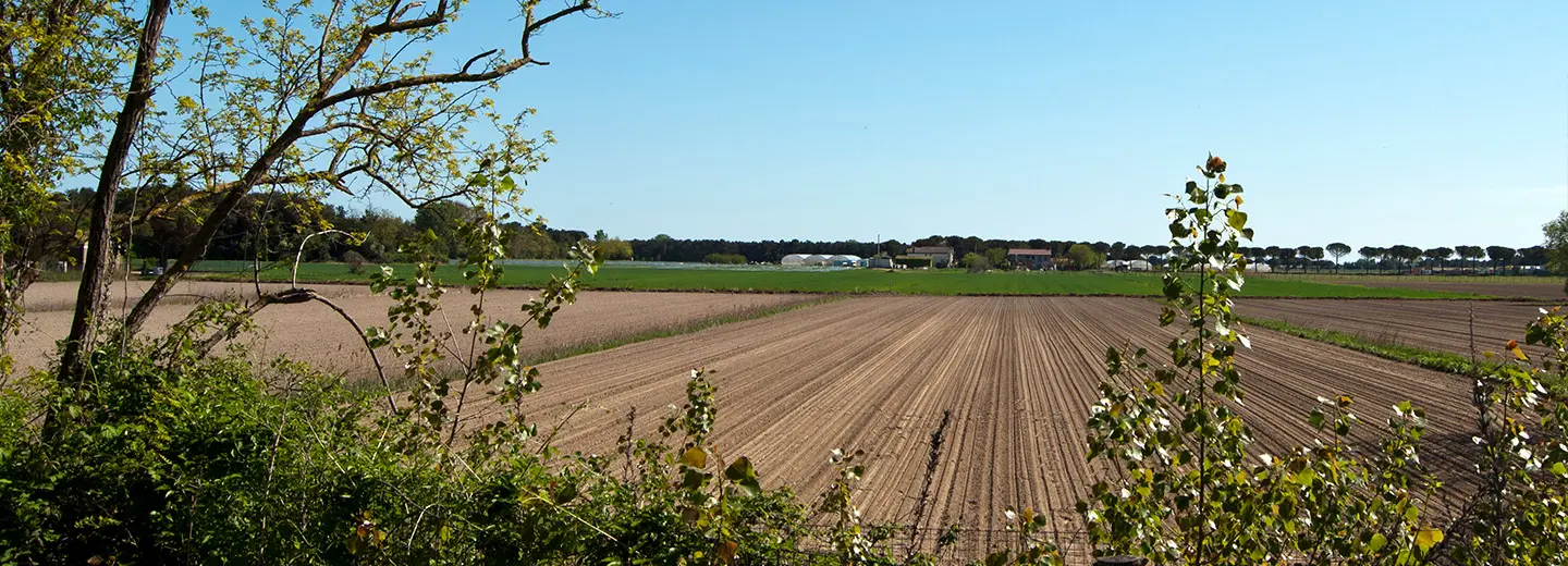 paesaggio di campagna con case in lontananza