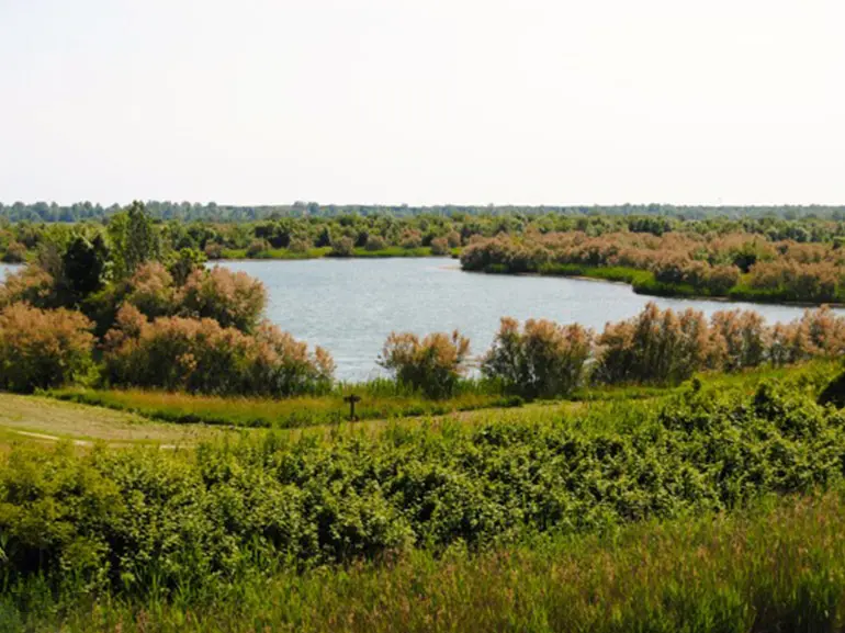 laguna_vallevecchia_carosello