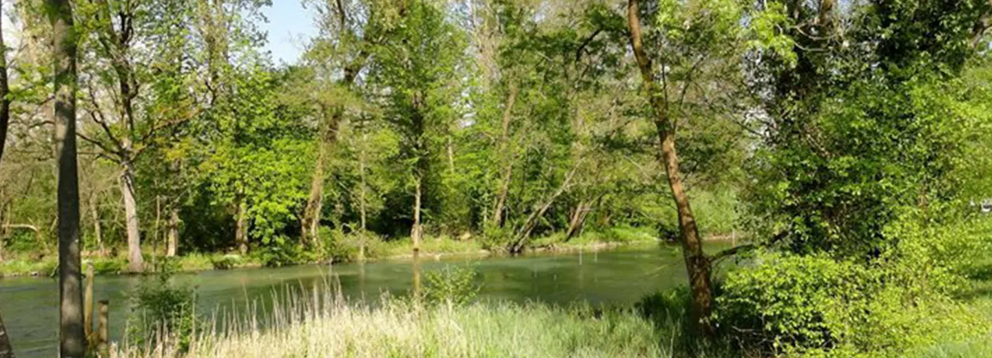 Acquario di Ariis