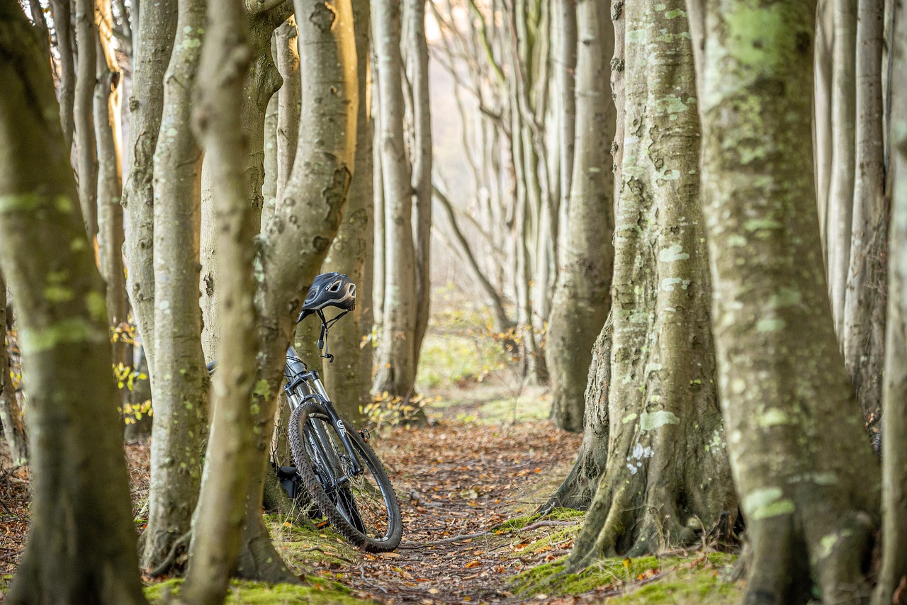 A journey through time &#8211; Valgrande by bicycle