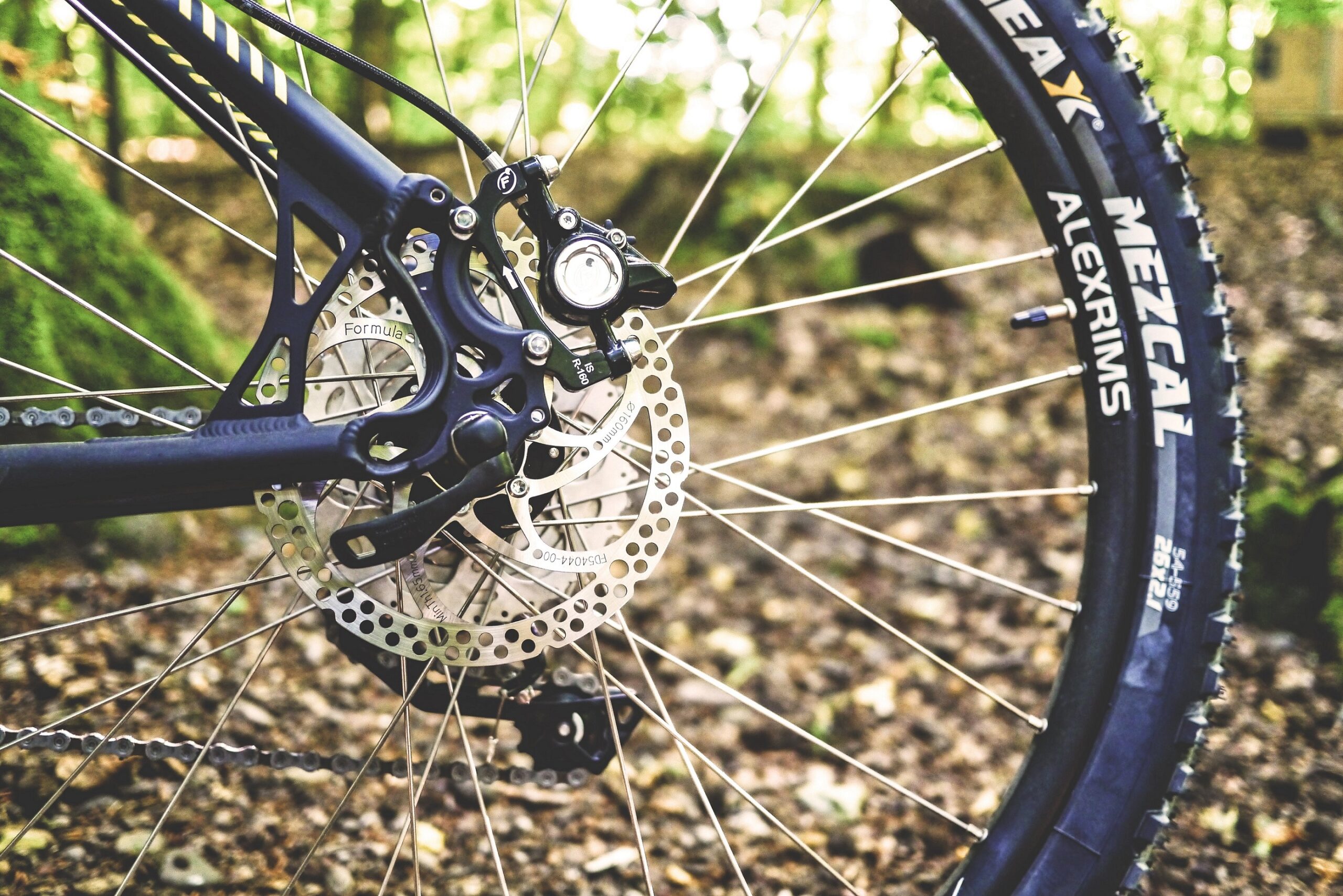 Wild Bibione &#8211; Night bike experience