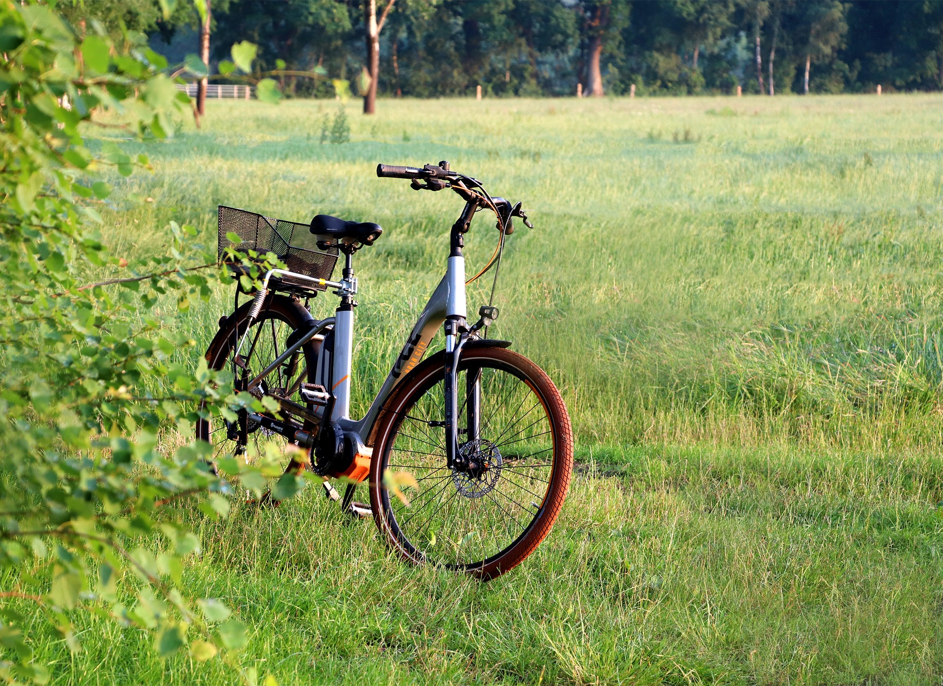 Grand tour in e-bike in Valgrande